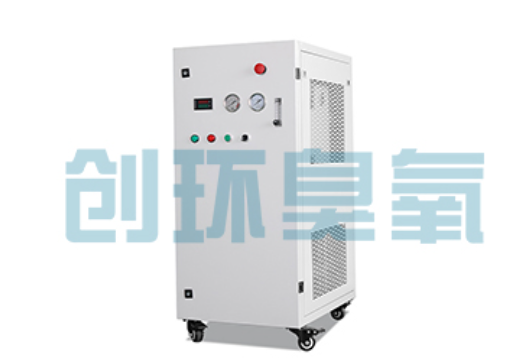 曲靖石斑鱼养殖水质调控完整指南：臭氧发生器配置与操作步骤