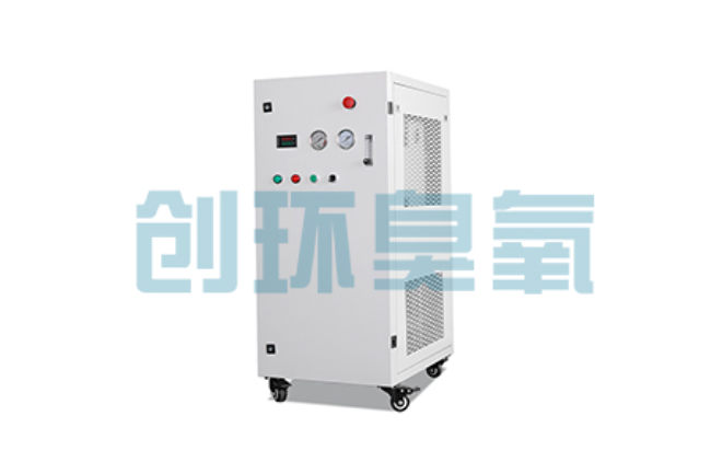 曲靖比传统换水更高效？臭氧发生器在石斑鱼养殖中的水质净化原理解析